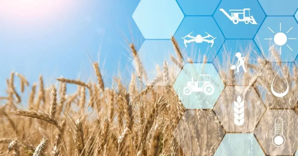 Impact of Mechanization on Harvest Yield and Process in Agriculture